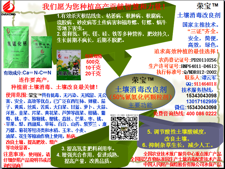 榮寶（氰氨化鈣）顆粒殺菌劑，土壤消毒、緩釋氮鈣營(yíng)養(yǎng)、肥料增效、土壤改良四效合一，殺滅根結(jié)線(xiàn)蟲(chóng)，防治根腫病、根腐病、枯萎病、流膠病、蓮藕腐敗病等土傳病害，殺滅福壽螺、釘螺等地下害蟲(chóng)，解決連作障礙